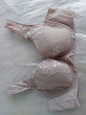 NWOT Triumph Double Layer Wing Bra Floral Lace